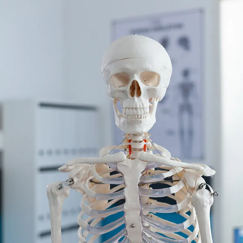 Osteopatía craneal y sacral